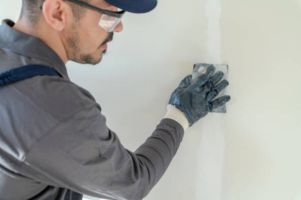 Best Industrial Mold Remediation  in Willow Park, TX