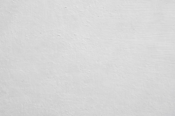 Best Attic Mold Removal  in Willow Park, TX